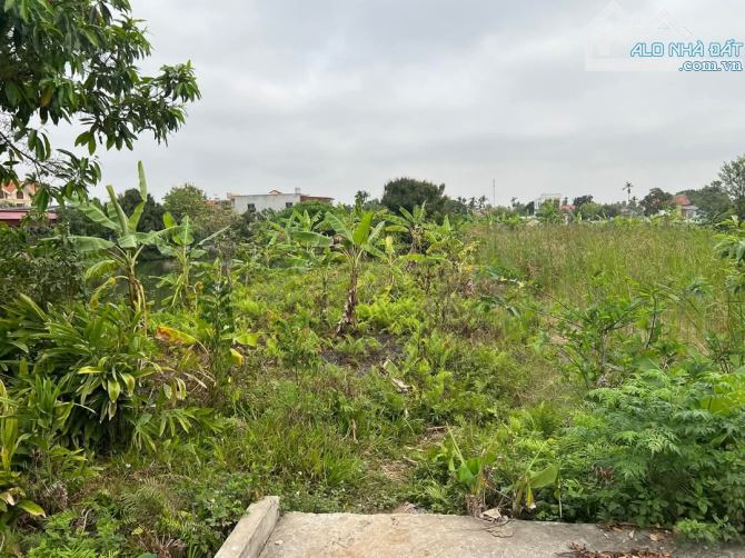 💥 BÁN LÔ ĐẤT 988M² – MINH ĐỨC, ĐỒ SƠN – GIÁ CHỈ 24 TỶ – TẶNG THÊM 1000M² ĐẤT 03 SIÊU LỢI - 1