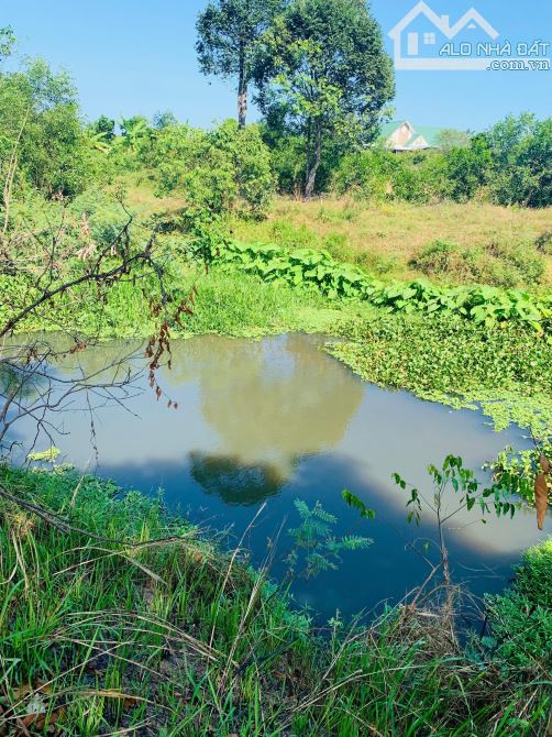 Bán đất View suối Bông Trang, huyện Xuyên Mộc - Diện tích: 1,3 mẫu , giá bán: 19 tỷ - 1