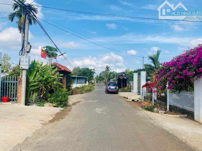 BÁN ĐẤT THÔN 8 CƯBUA BMT ĐƯỜNG NHỰA THÔNG TỨ PHÍA 5X28 TC 60M  GIÁ 799TR DÂN CƯ HIỆN HỮU T - 1