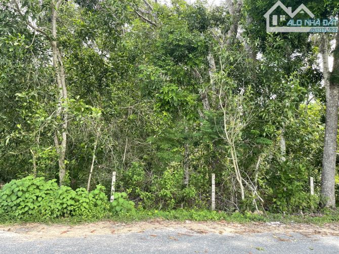 giảm 50% chỉ 900k/m2 mặt tiền Lý Nam Đế, thị xã LaGi sổ riêng 4987m2 - 1