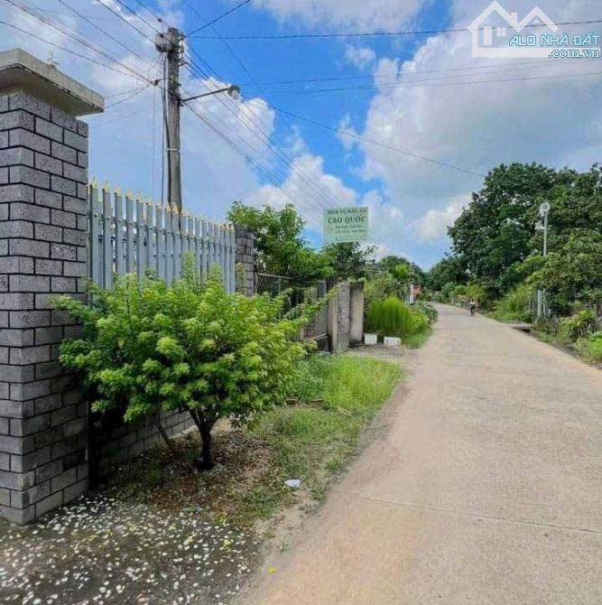 BÁN LÔ ĐẤT VƯỜN 1473M2 KHU DÂN CƯ CÁCH QUỐC LỘ 20 600M CHỈ 650 TRIỆU - 1