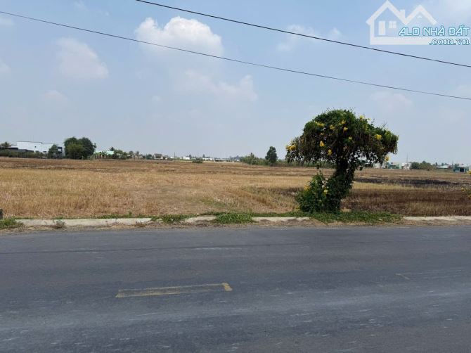 5×42 thổ nhựa Cao Thị Mai ngay ủy ban trường học Bình trinh đông_Tân trụ 1ty350 triệu rẻ - 1