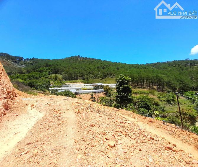 Bán đất view đẹp đồi thông khu dân cư trung tâm Đà Lạt, đi Hồ Xuân Hương hơn 4km - 1