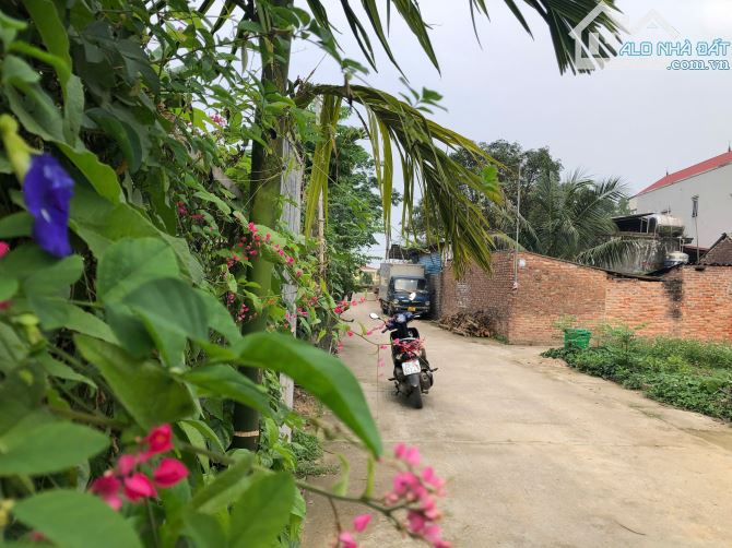 🚗 Lô Góc Ô Tô Vào Tận Nơi – 50m² Đất Vuông Vắn – Tân An, Hiền Ninh, Sóc Sơn 🚗 👉 - 1