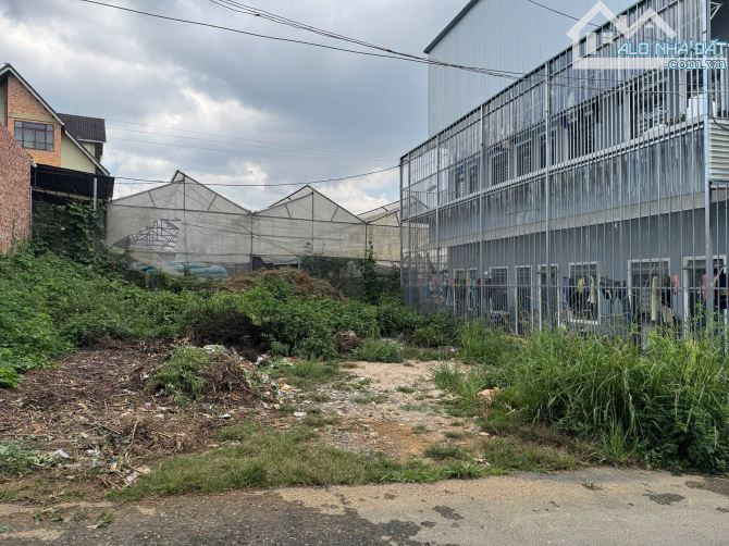 250M2 CÓ NGAY ĐẤT Ô TÔ BẰNG ĐƯỜNG TRẦN ĐẠI NGHĨA P8 ĐÀ LẠT - 2
