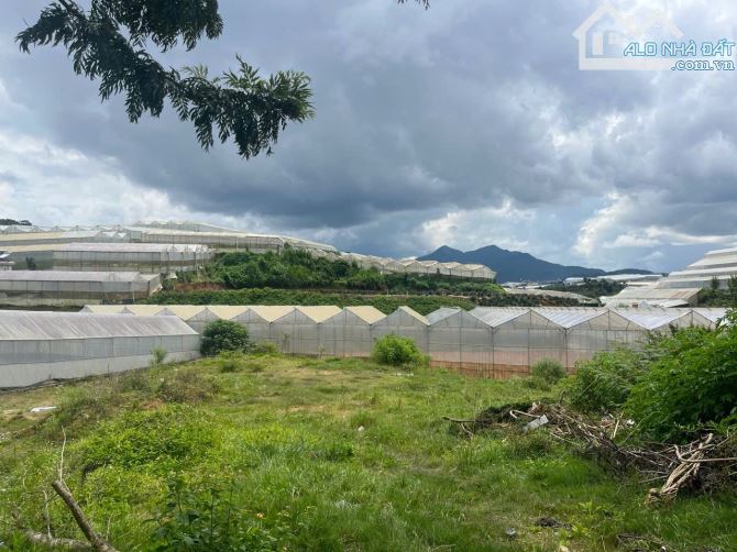 ĐẤT MẶT TIỀN ĐA PHÚ, P7 Đà lạt. 549m2 -  Giá 12 tỷ 5 - 2