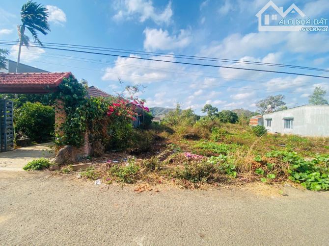 BÁN ĐẤT THÔN 8 CƯBUA BMT ĐƯỜNG NHỰA THÔNG TỨ PHÍA 5X28 TC 60M  GIÁ 799TR DÂN CƯ HIỆN HỮU T - 2
