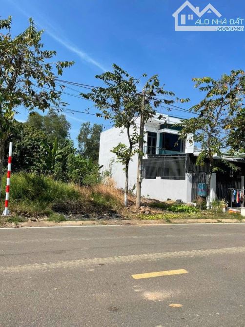 BÁN LÔ ĐẤT MẶT TIỀN NHỰA CẦU TRẮNG 516M2(5MX100M) KINH DOANH ĐA NGÀNH CHỈ 900 TRIỆU - 2