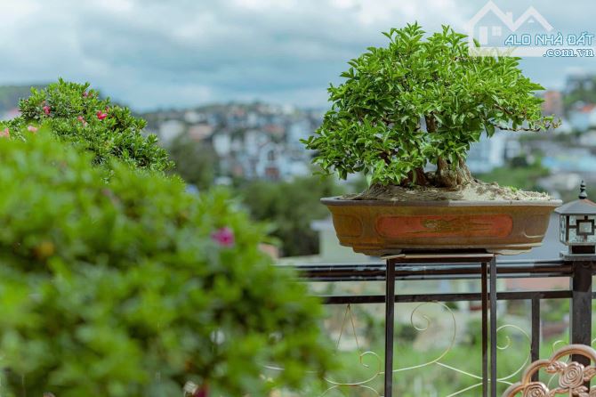 ✨ Bán Villa Mặt tiền đường An Sơn Khu biệt thự DIC Phường 4, Đà Lạt - 2