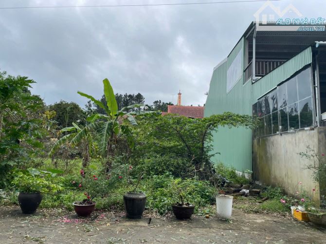 Đất mặt tiền Lê Cương, TT Phú Lộc. Cách Quốc lộ 40m Dt: 131m2 Giá: 9xxtr - 2
