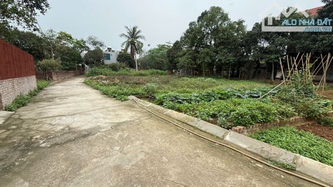 BÁN GẤP 99M² full thổ  TẠI QUANG TIẾN – SÓC SƠN. ĐƯỜNG TRƯỚC ĐẤT 4M. GIÁ 2tỷ thấp - 2