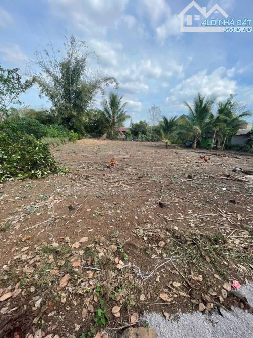 BÁN LÔ ĐẤT BIỆT THỰ TẠI THỊ TRẤN ĐỊNH QUÁN 1064m2(29mx37m) CÓ SẴN 200M2 THỔ CƯ CHỈ 1TỶ8 - 3