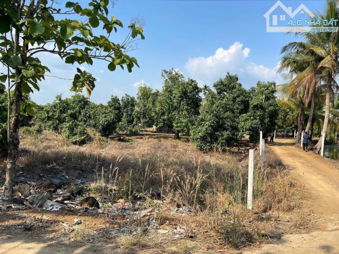 BÁN LÔ ĐẤT VƯỜN 1473M2 KHU DÂN CƯ CÁCH QUỐC LỘ 20 600M CHỈ 650 TRIỆU - 3