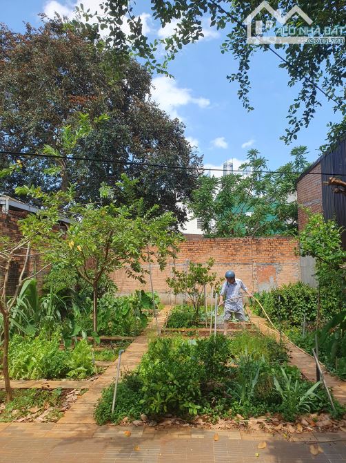 Bán đất vườn 500m2 khu dân cư đường y nuêột gân ngay nhà văn hóa cộng đồng, trường mầm non - 3