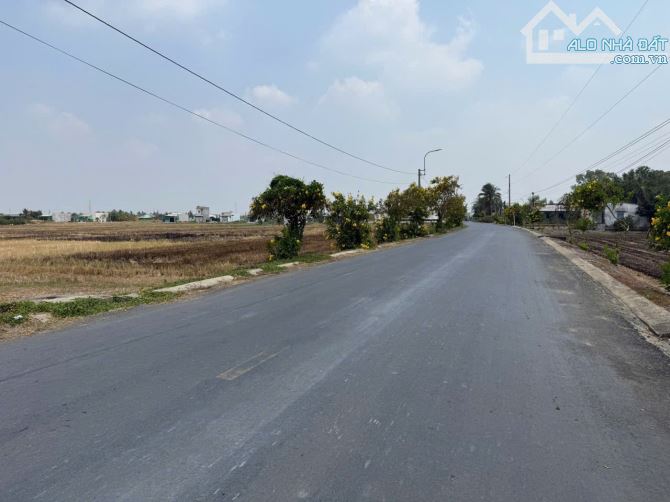 5×42 thổ nhựa Cao Thị Mai ngay ủy ban trường học Bình trinh đông_Tân trụ 1ty350 triệu rẻ - 3