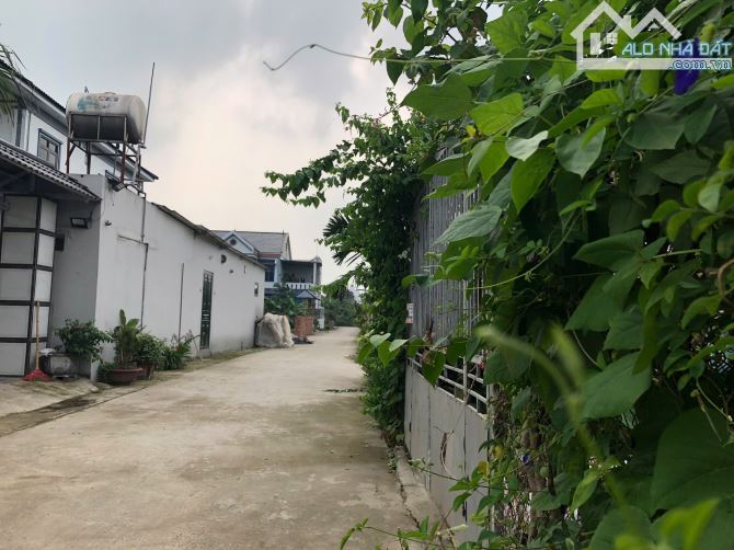 🚗 Lô Góc Ô Tô Vào Tận Nơi – 50m² Đất Vuông Vắn – Tân An, Hiền Ninh, Sóc Sơn 🚗 👉 - 3