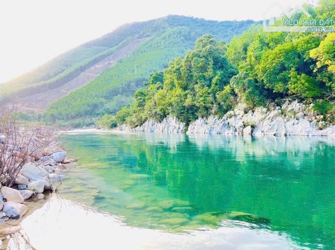 Bán nhà vườn mặt tiền DT601, gần sông cu đê 1000m2 có 150m2 đất ở - 4