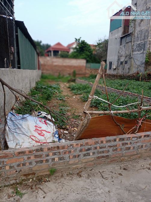 Đông Lai _Quang Tiến _ Sóc Sơn cạnh khu Đấu giá - 4