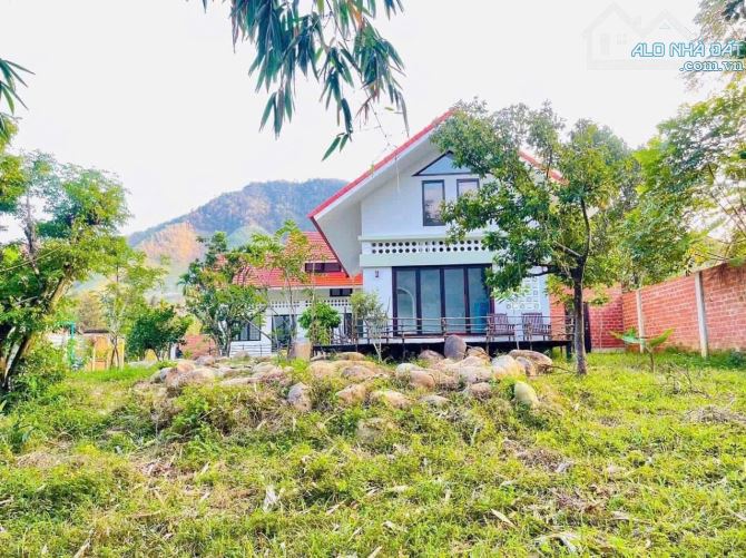 Bán nhà vườn mặt tiền DT601, gần sông cu đê 1000m2 có 150m2 đất ở - 5