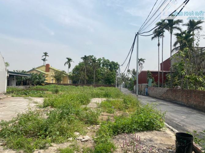 Bán lô đất mặt đường 402 Tư Thuỷ, Hòa Nghĩa, Dương Kinh, Hải Phòng  - Tuyến đường trục - 6