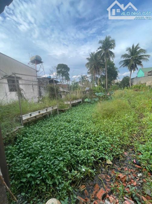 HÀNG THƠM GIÁ NGỘP ĐẦU TƯ SINH LỜI NGAY NHÀ MẶT TIỀN KINH DOANH THẠNH LỘC 50 CHÍNH CHỦ MỜI - 7