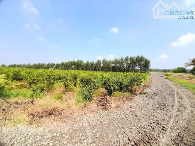Hàng F0, chỉ 580tr sở hữu 1000m2 đất vườn view kênh cực đẹp - 7