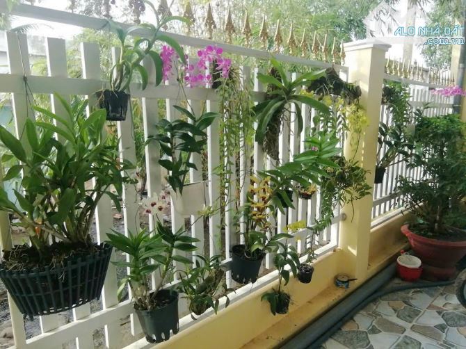 Bán nhà riêng tại An Tịnh, Trảng Bàng, Tây Ninh, 1,2 tỷ, 160m2, SHR, giáp Trường Tiểu Học - 8