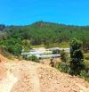 Bán đất view đẹp đồi thông khu dân cư trung tâm Đà Lạt, đi Hồ Xuân Hương hơn 4km