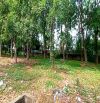 Bán lô đất 5010m2 KCN Vĩnh Lộc- Bình Hưng Hòa A - Bình Tân giá chỉ 30 tỷ