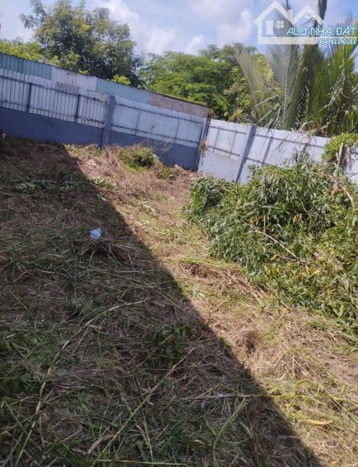 Bán đất thổ cư hẻm rộng 12m Nguyễn Văn Tạo, Long Thới, Nhà Bè
