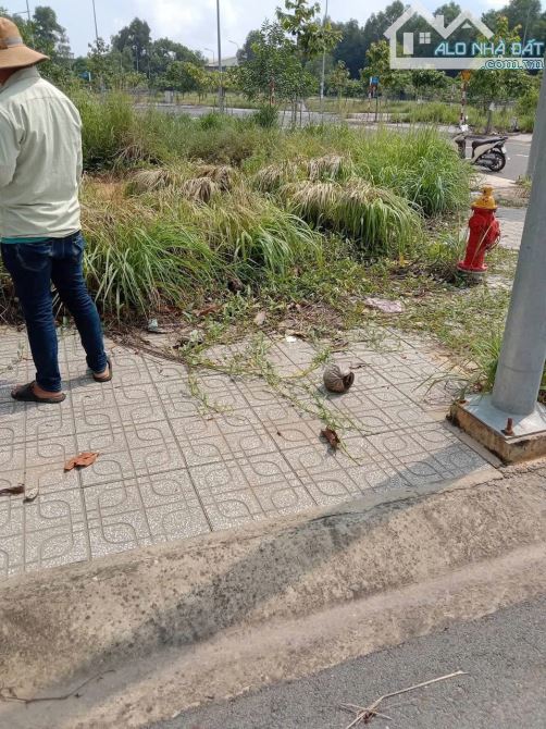 Bán gấp lô đất góc 2 mặt tiền KDC Tân Long 2, Uyên Hưng, Tân Uyên, Bình Dương - 1