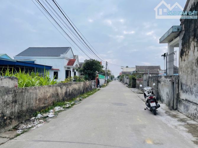 Bán đất Phong Cầu - Đại Đồng - Kiến Thụy - Hải Phòng - 1
