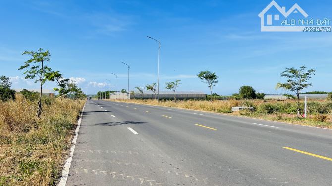 BÁN ĐẤT PHƯỚC LONG THỌ ĐẤT ĐỎ BÀ RỊA VŨNG TÀU - 1