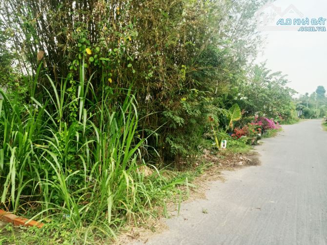 Bán đất đường Đào Thị Đưa - 513m2 - 9.75x54 - 165m2 thổ cư - xã Trung Lập Thượng - Củ Chi - 1