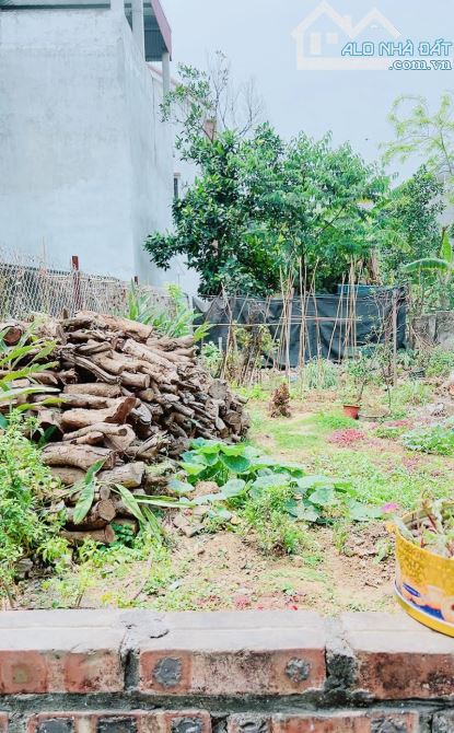 SIÊU PHẨM LÔ GÓC Ô TÔ TẢI NGỦ TRONG ĐẤT BẮC HỒNG 117m CHỈ HƠN 6Đ - 1