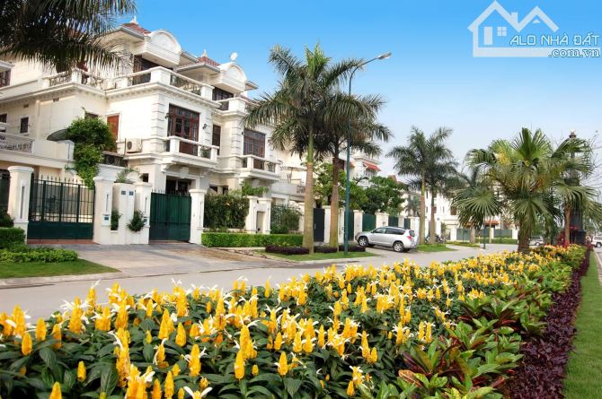 GIÁ VÔ ĐỊCH-BIỆT THỰ SIÊU VIP CIPUTRA - NHÀ ĐẸP NỘI THẤT CAO CẤP, ĐƯỜNG ĐÔI 200m2x4T_83TỶ - 1