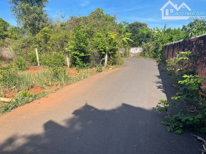 CHỦ GỬI BÁN LÔ ĐẤT MẶT TIỀN NHỰA – XÃ HOÀ LONG, TP. BÀ RỊA   Diện tích: 195.5m² (đã c - 1