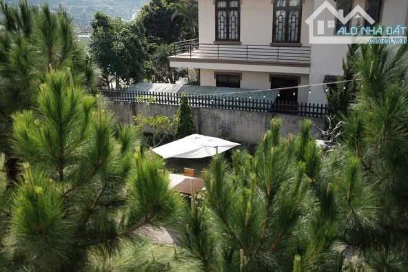Villa sân vườn view đẹp MT Triệu Việt Vương 1334m2, P4 Đà Lạt giá 60 tỷ - 13