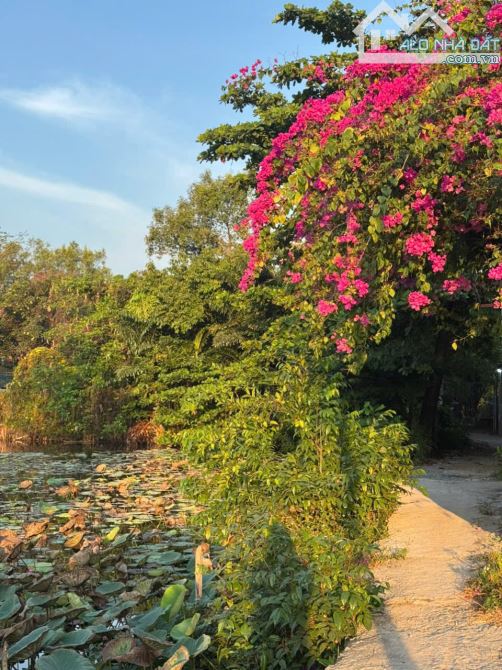 Bán nhà 198m2 (9,2m x 21m) Phong Phú, Bình Chánh. Cách bến xe quận 8 chỉ 4km - 6.6 Tỷ - 14
