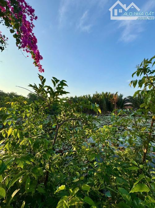 Bán nhà 198m2 (9,2m x 21m) Phong Phú, Bình Chánh. Cách bến xe quận 8 chỉ 4km - 6.6 Tỷ - 15