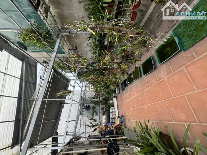 Cơ Hội Vàng Sở Hữu Nhà Đất Tam Trinh – Yên Sở, Khu Vực Đang Phát Triển, 71m2, Chỉ 8.8 Tỷ - 2