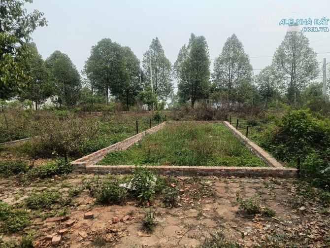 Sót lại 75m đất Tái định cư đại học quốc gia Hà Nội gần Trường học và Sân bay Hòa lạc - 2