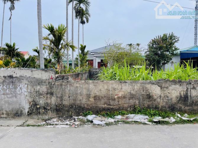 Bán đất Phong Cầu - Đại Đồng - Kiến Thụy - Hải Phòng - 3
