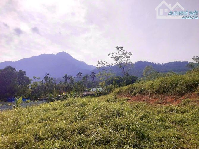 Cần Bán Lô Đất Tại Xã Vân Hoà, Ba Vì , View Núi Đẹp Thế Đất Cao Thoáng - 3