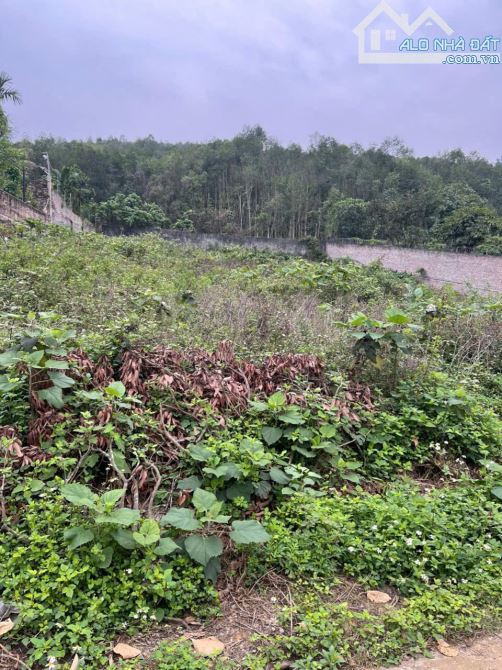 Rẻ nhất phú mãn, đường to, vị trí trung tâm sẵn 2 sổ giá chỉ hơn 5tr/m quy hoạch đẹp - 3