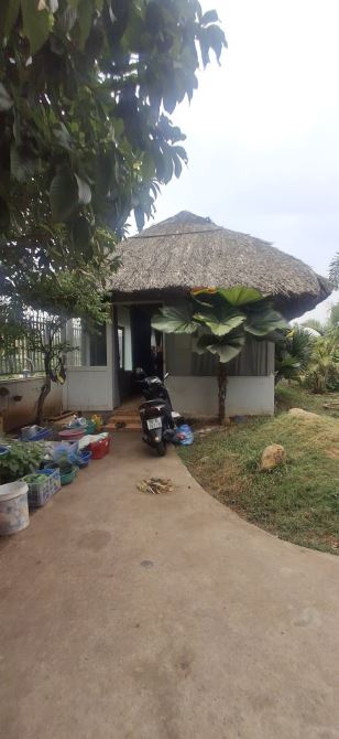 Bán Đất 2 MT View Sông Ngay NGuyễn Xiển 20x40=800m2 Giá 28 TỶ - 5