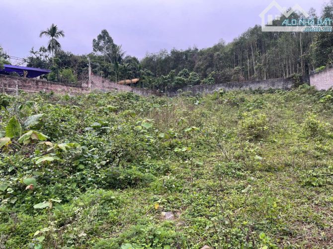 Rẻ nhất phú mãn, đường to, vị trí trung tâm sẵn 2 sổ giá chỉ hơn 5tr/m quy hoạch đẹp - 5