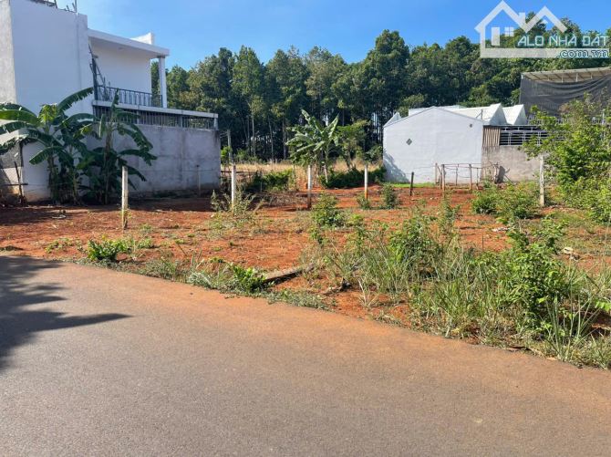 CHỦ GỬI BÁN LÔ ĐẤT MẶT TIỀN NHỰA – XÃ HOÀ LONG, TP. BÀ RỊA   Diện tích: 195.5m² (đã c - 5