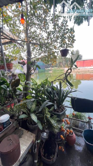 BÁN GẤP NHÀ TỔ 3 PHÚ ĐÔ, NAM TỪ LIÊM, ĐẤT PHI NÔNG NGHIỆP NHÀ C4 53M GIÁ 1.65 TỶ VIEW HỒ. - 6