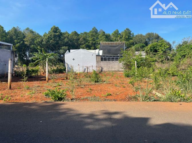 CHỦ GỬI BÁN LÔ ĐẤT MẶT TIỀN NHỰA – XÃ HOÀ LONG, TP. BÀ RỊA   Diện tích: 195.5m² (đã c - 6